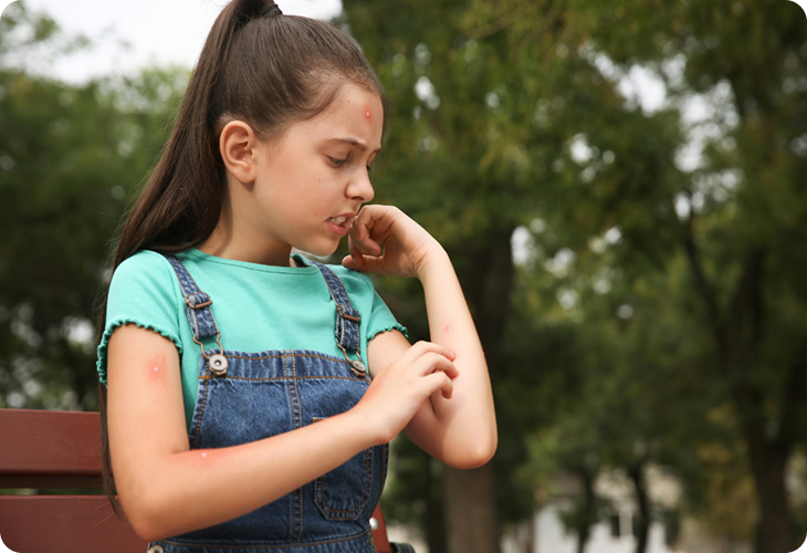 Insect and animal bites signs of infection
